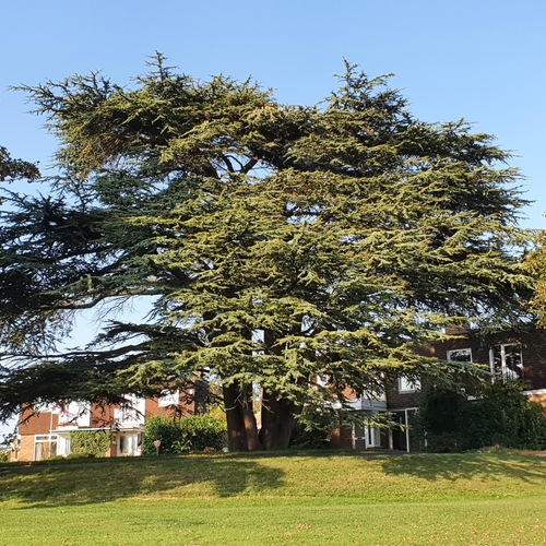 Albemarle Gate 3 Bedroom 2 Bathroom House Overlooking Pittville Park