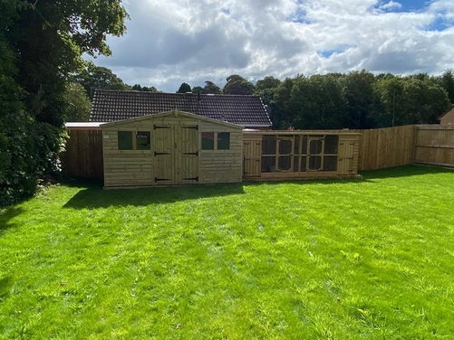 #006 14x8 Apex Reverse