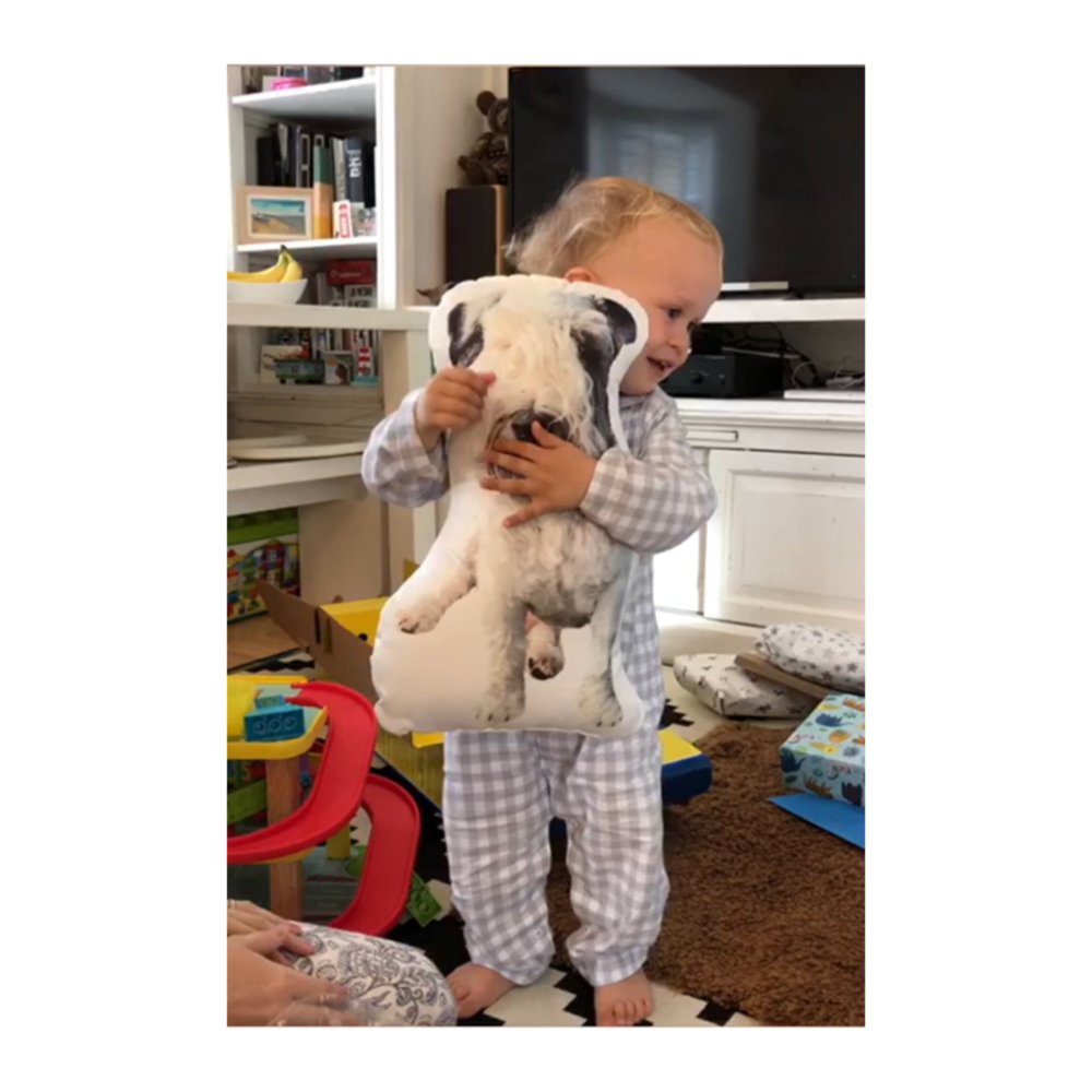 Personalised Pet Shaped Cushion, Single Sided