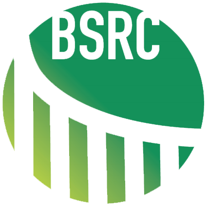 Bristol Somali Resource Centre | BSRC | Help & Advice