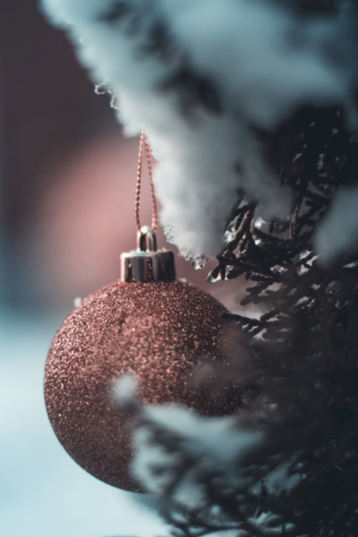 Christmas is on its way! Time to think about our Loved Ones...