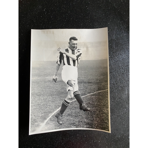 Albert Wilkes Bundle