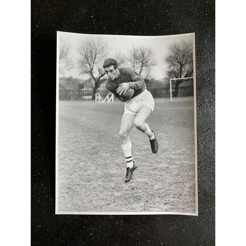 Albert Wilkes Bundle