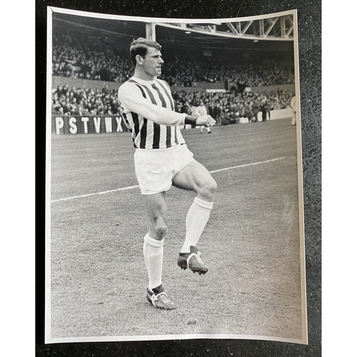 Albert Wilkes Bundle