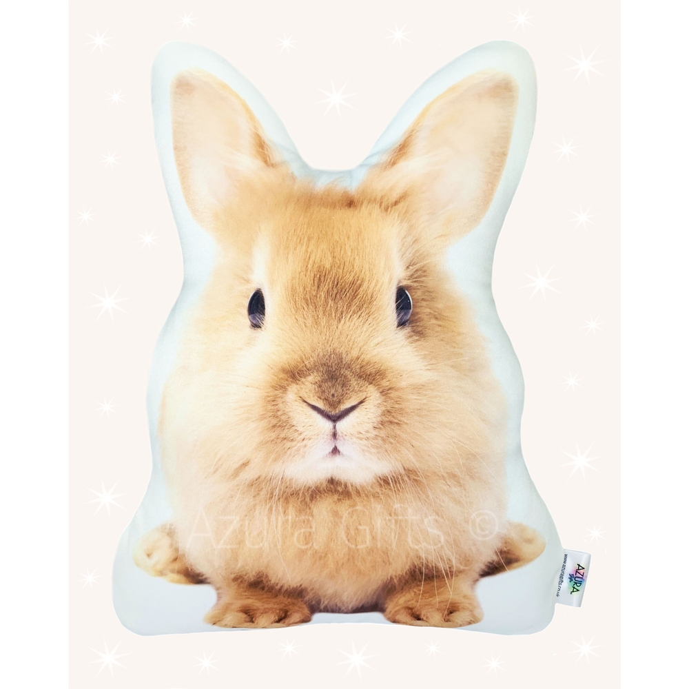 Rabbit Cushion (Ginger)