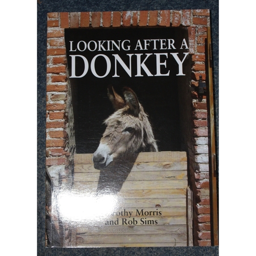 Looking After Your Donkey
