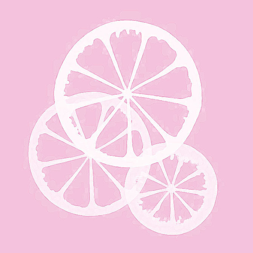 Diet and Lifestyle Session