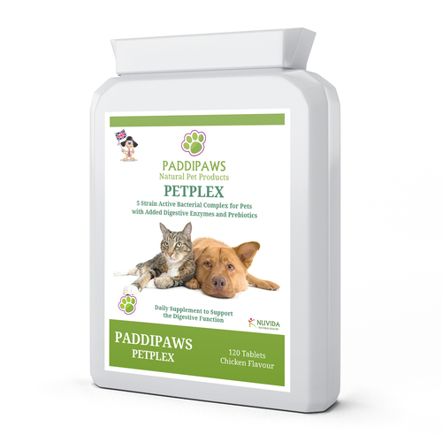 Multi-Vitamins for Dogs -120 Chicken Flavour Tablets