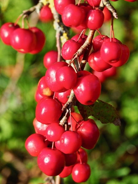 Lockdown in January 2021