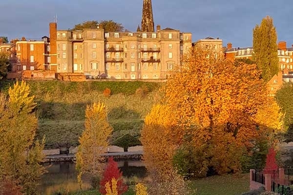 *ON THE BRIGHT SIDE*