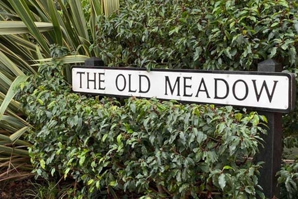 IN THE LOOP March 2021