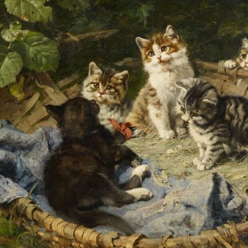 Five Kittens in a Basket