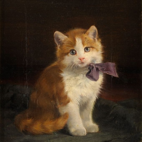 Kitten with Purple Bow