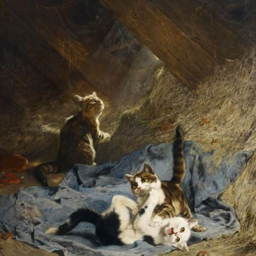 Kittens Playing in the Hay