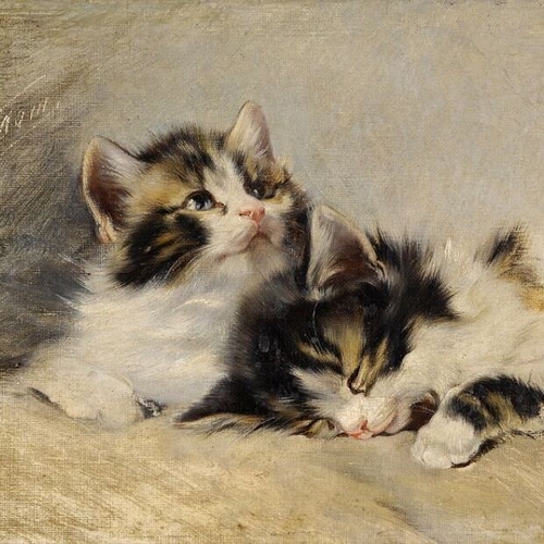 Two Kittens