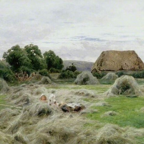 Hay Field