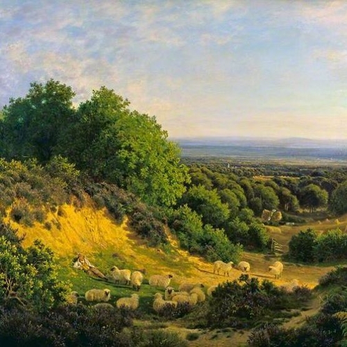 The Evening Sun, View on Ewhurst Hill near Guildford