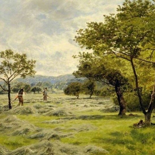The Hayfield
