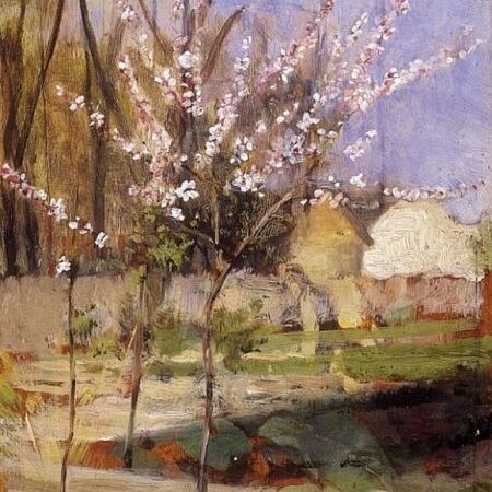 Apple Trees Blooming