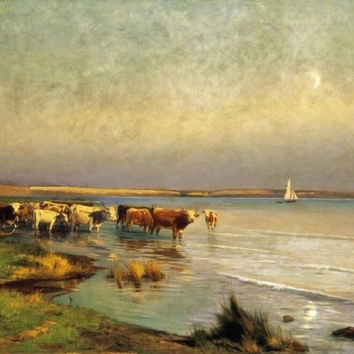 Cows by the Lake Balaton