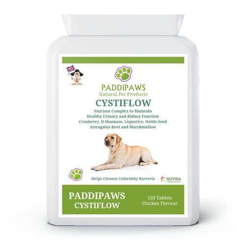 Cystiflow Urinary & Kidney Support 120 Tablets.