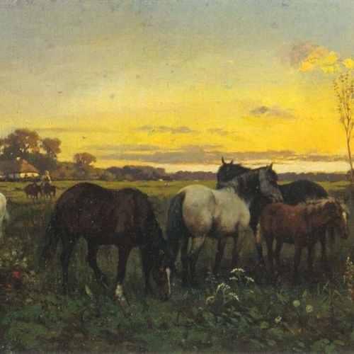 Horses on a Pasture