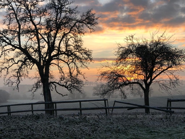 *More Metrics launches new INCOME DATA*