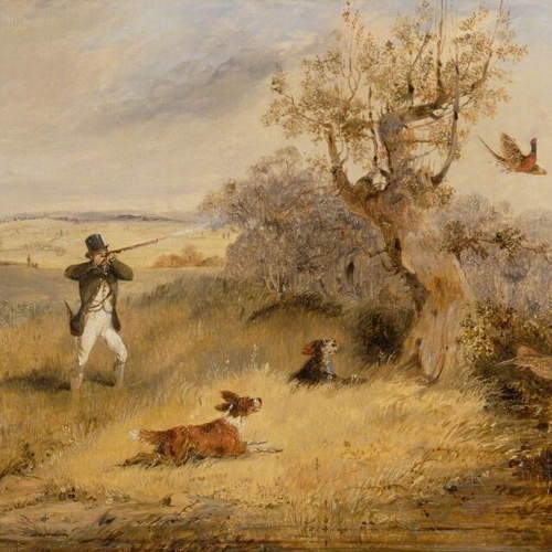 Pheasant Shooting