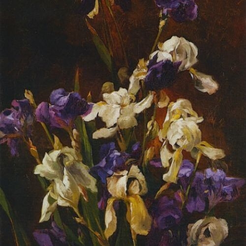 Irises