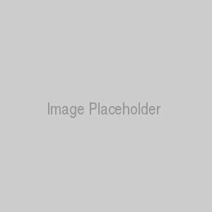 Example Article