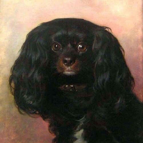 Portrait of a Favourite Dog