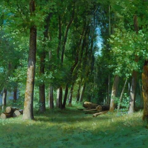 Avenue of Poplars at Bougival, France