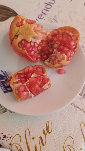 How is your immune system