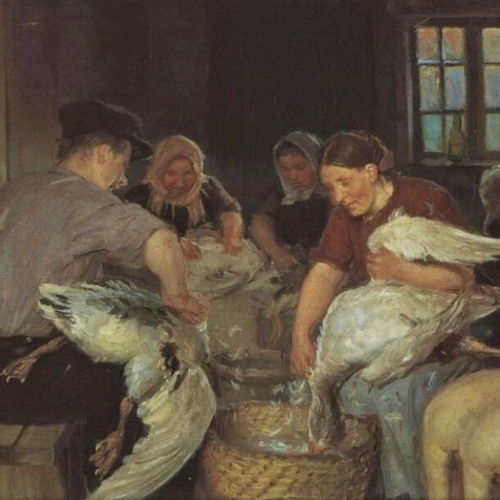Plucking the Christmas Goose