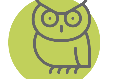 Night Owl Counselling Session