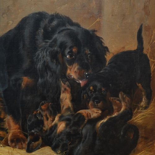 A Family of Gordon Setters