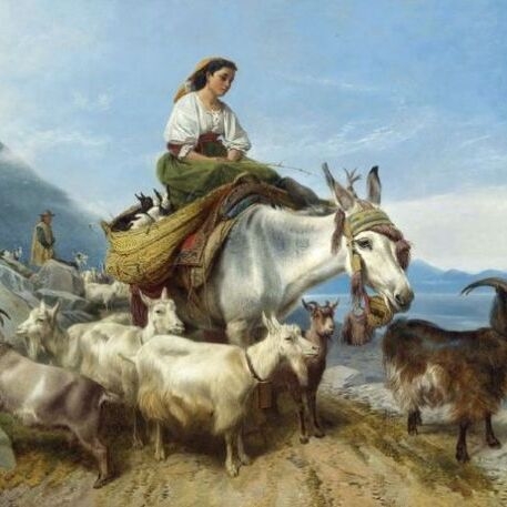 Goatherds, Gibraltar Looking Across The Strait Into Africa