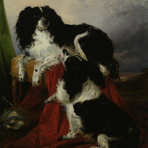 King Charles Spaniels