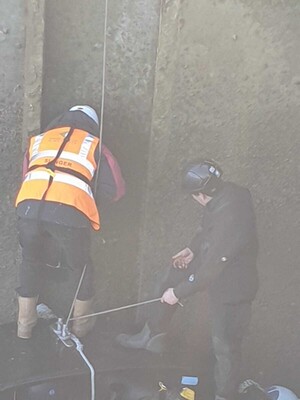 South Coast Stop Logs