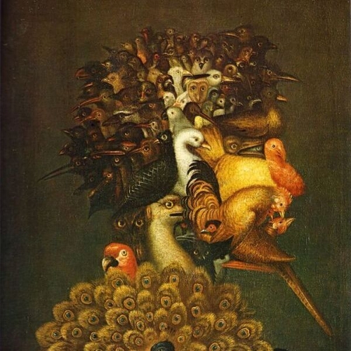 The Four Elements - Air