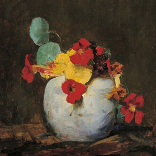 East Indian Cherry in Pot