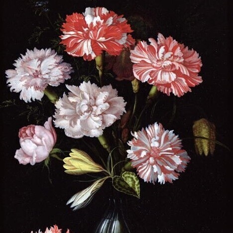 Carnations in a Vase