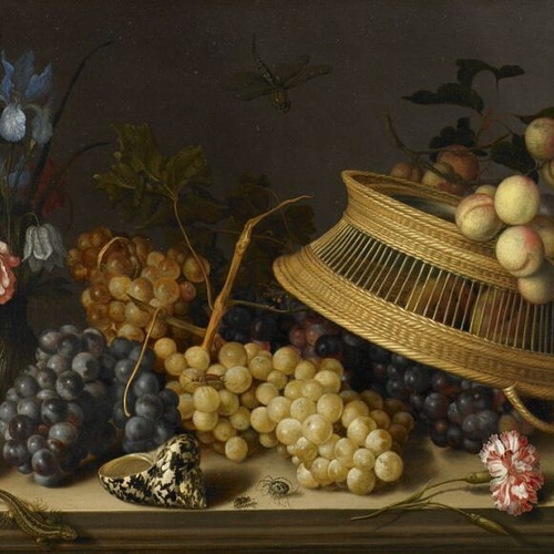 Still Life of Flowers, Fruit, Shells and Insects