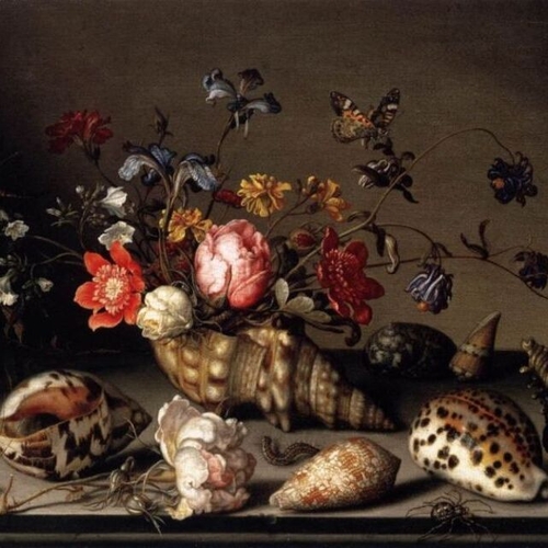 Still-Life of Flowers, Shells and Insects