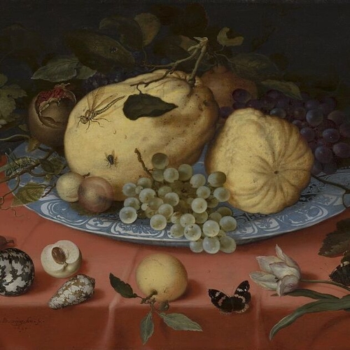 Fruit Still-Life with Shells