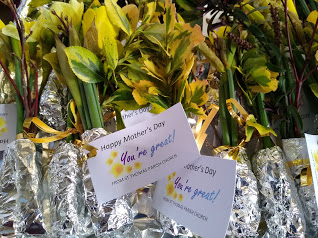 A Mothering Sunday poem