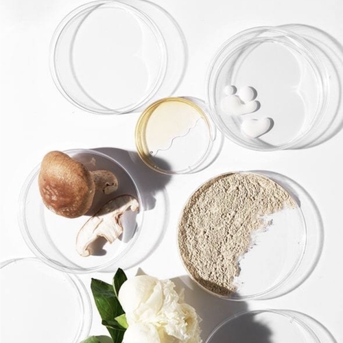 Powerbright Dark Spot Serum