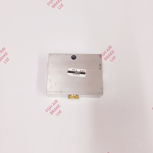 333009001 Check Valve