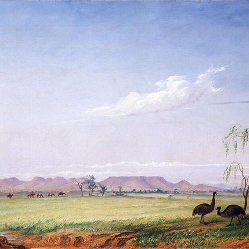 Emus on the Trap Plain