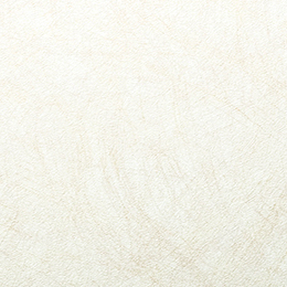 3M™ DI-NOC™ FA-1521 - Haku / Washi